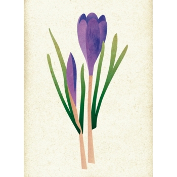 Karnet magic - Fioletowy Tulipan